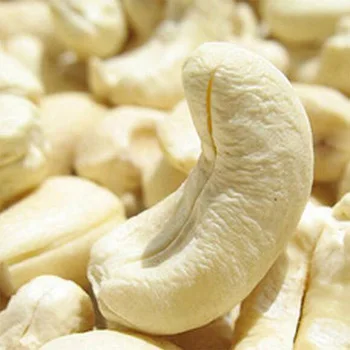 Dried Style and Raw Processing VIETNAM CASHEW NUTS IMPORT
