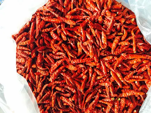  Поставка сушеного перца чили красный сухой MS ANNA + 84902804571