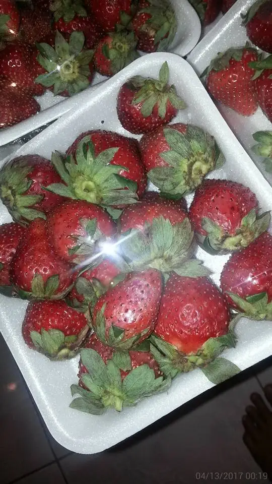 
Wholesale Fresh Strawberry / Strawberry Fruit Price 