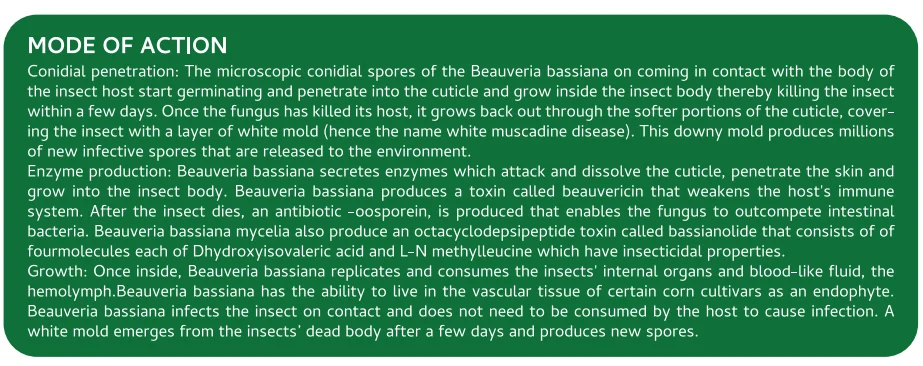 Screenshot (1062).png