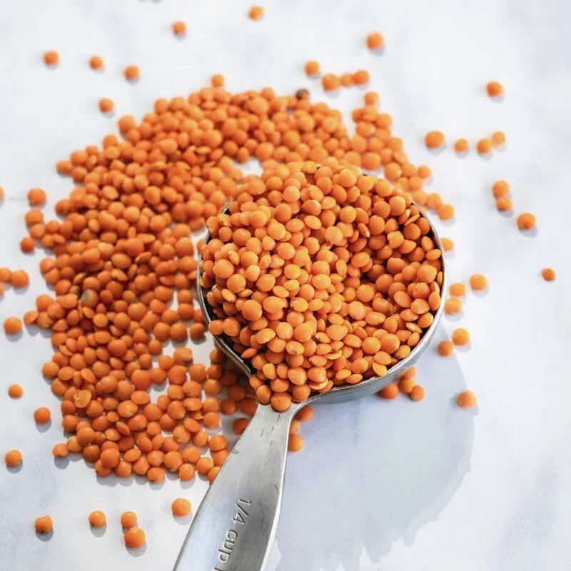 2021 Whole Red Lentils origin from Turkey