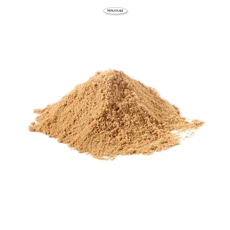 Huge Demand on 100% Pure and Organic Plant Extract Hing Powder