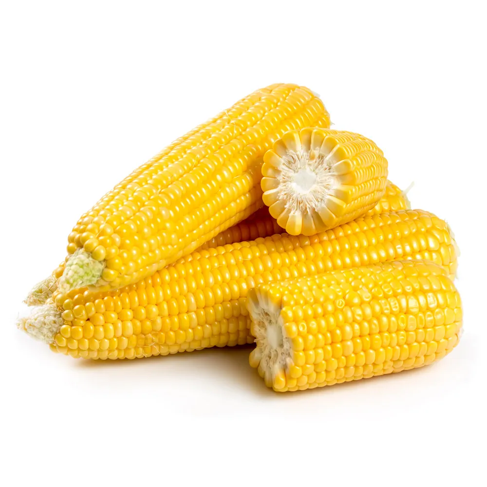 
High quality organic corn grain, agriculture product 