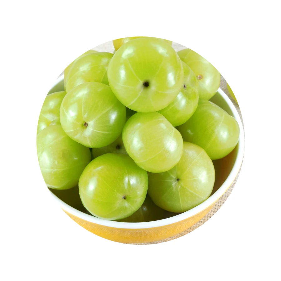 Top Grade OEM Indian Gooseberry Amla Powder Ayurveda Herbal Extract for Hair Growth Herbal Extract Powder Manufacturer