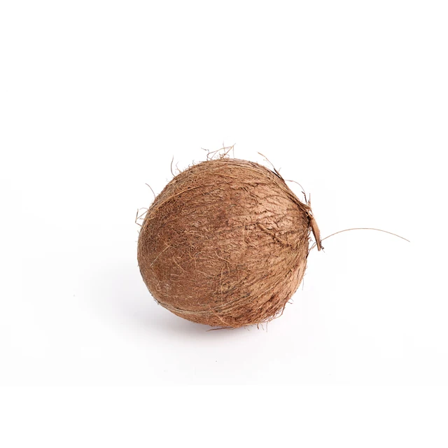 Export Quality Semi Husked Mature Coconut Indonesia Origin
