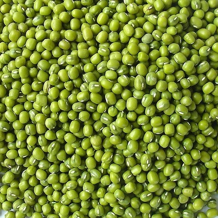 CHINESE MUNG BEAN/GREEN GRAM/whatsapp: +84 845 639 639