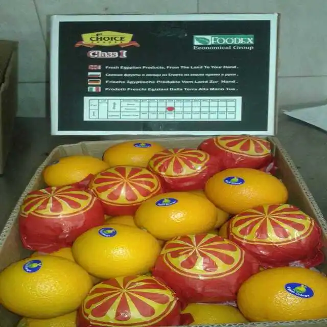 Sweet Delicious Navel Orange For Sale new corp