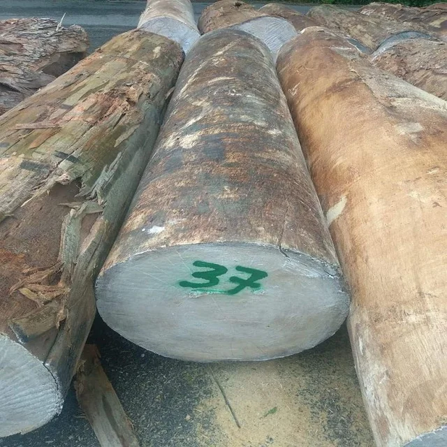 Brazilian Hardwoods And Softwoods