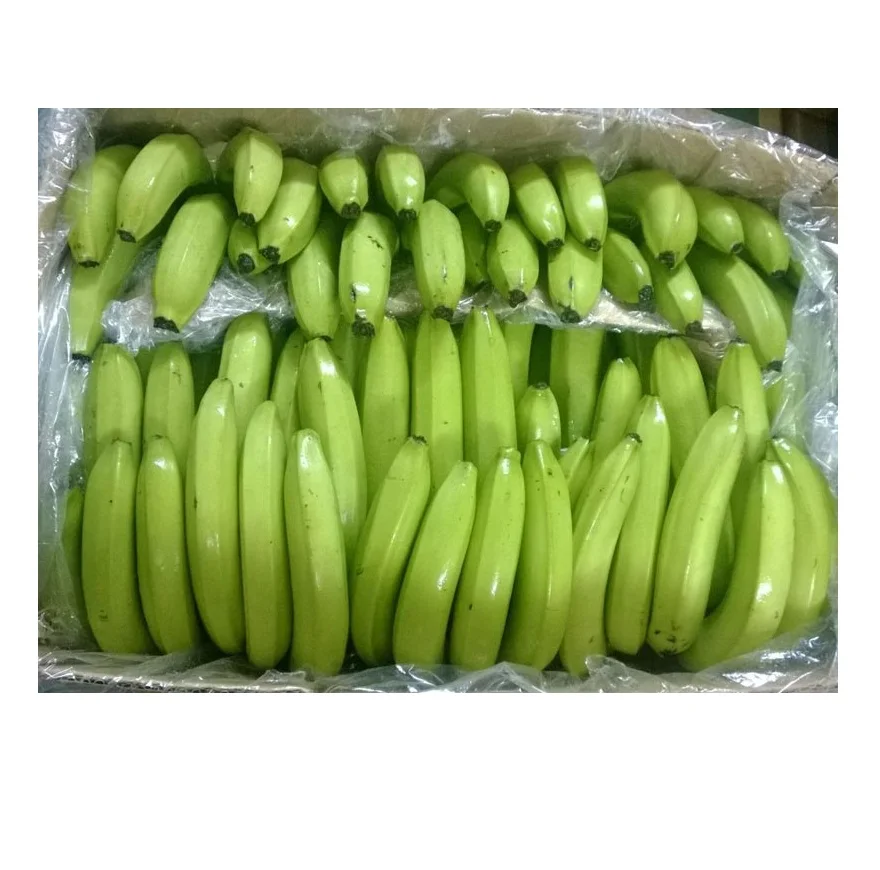 Top Quality Green Cavendish Banana at Low Price