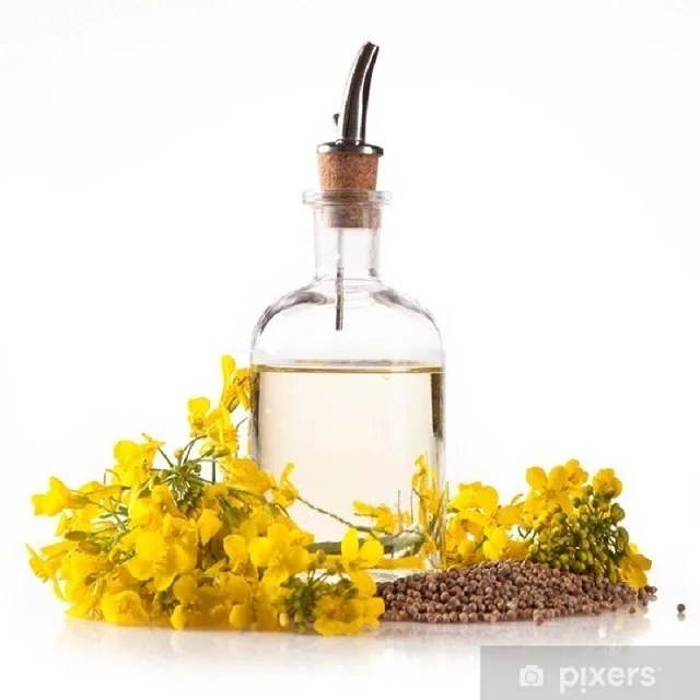 First Class Bulk Canola Oil Refined And Refined Rapeseed Oil Wholesale For Sale