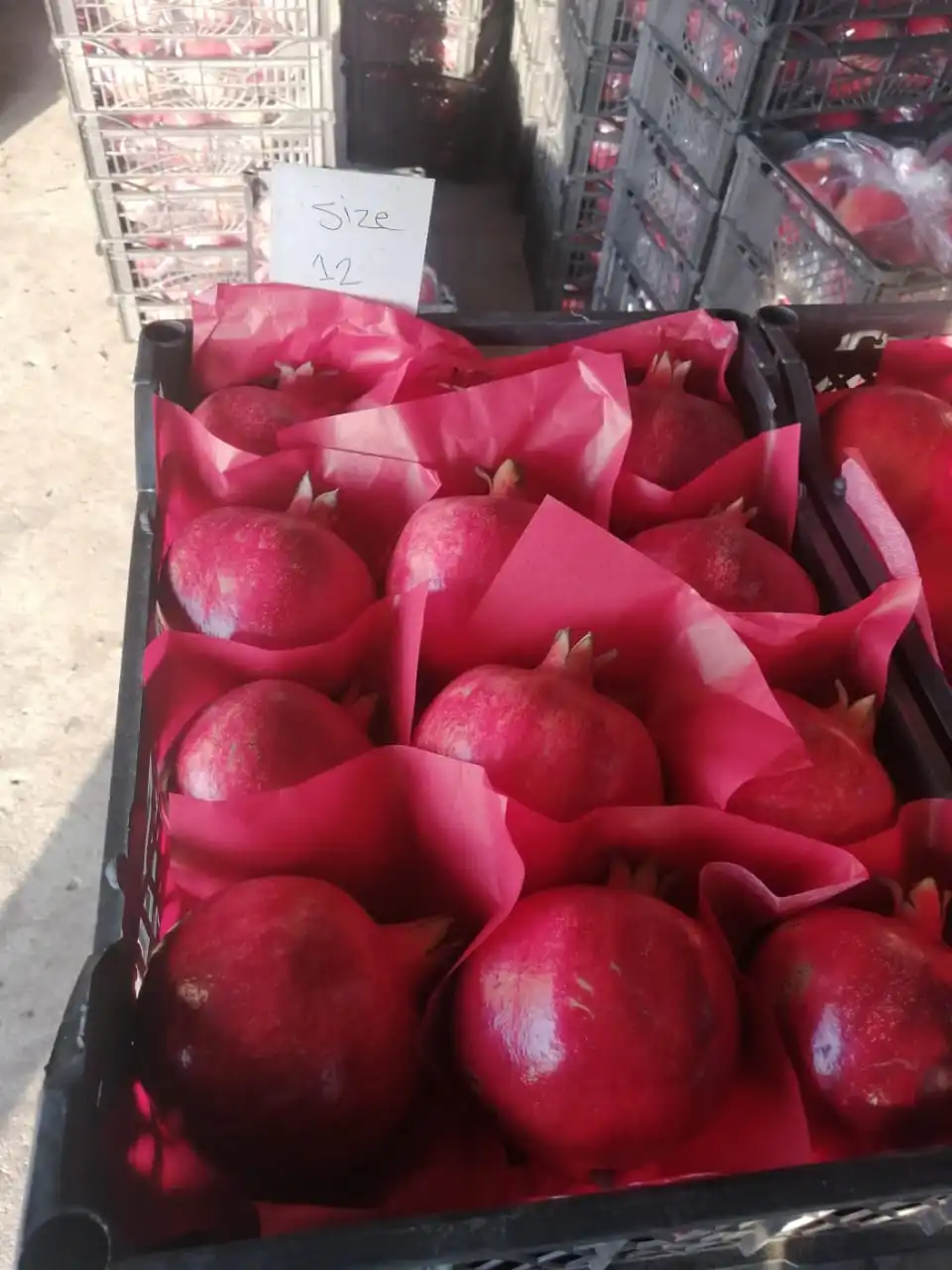 Pomegranates/ Fresh