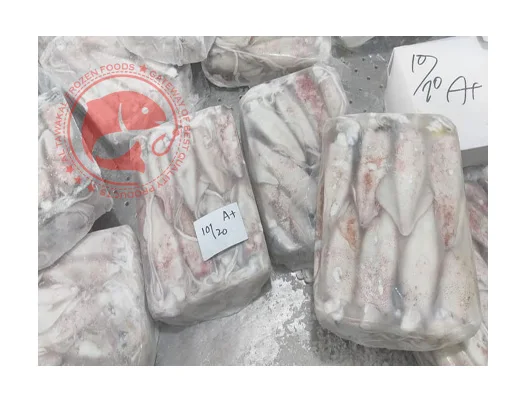 Frozen Whole Loligo Squid For Export in Bulk Quantity High Quality Frozen Loligo Squid Available in Multiple Sizes