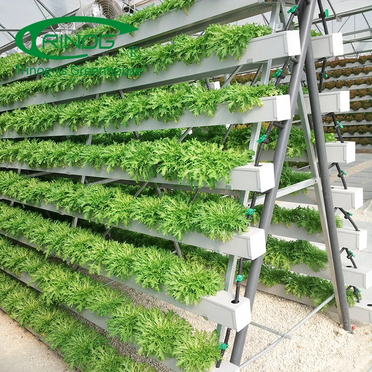 Trinog greenhouse NFT system Vertical A shelf hydroponics lettuce growing slot for greenhouse