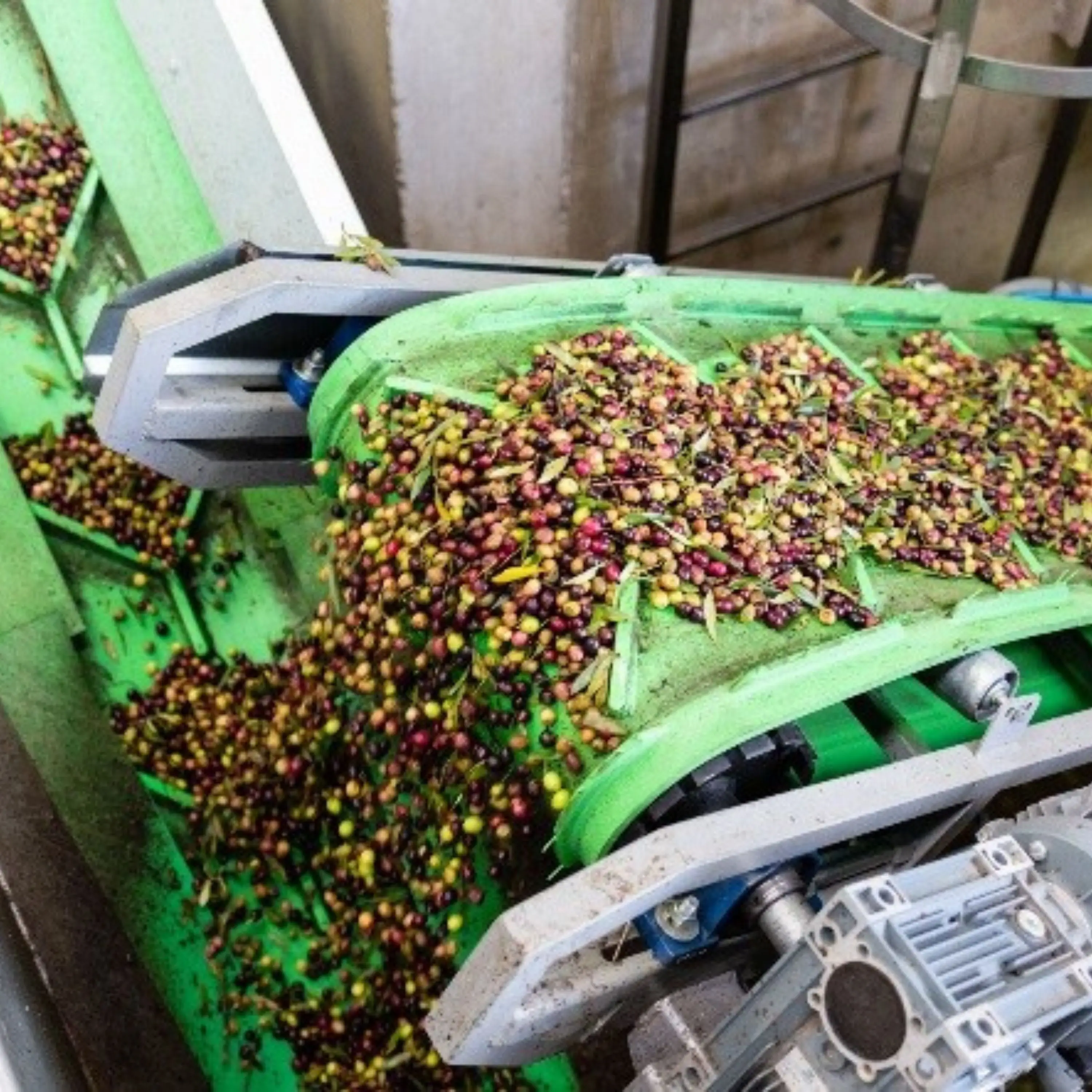 Private Label Pure Olive Oil 2 liter PET Bottle (Virgin Olive Oil & Refined Olive Oil)