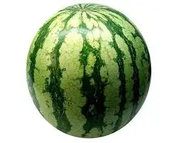 
Premium Water Melon COMMON/Fresh Melons/ Fresh Watermelon for Sale 