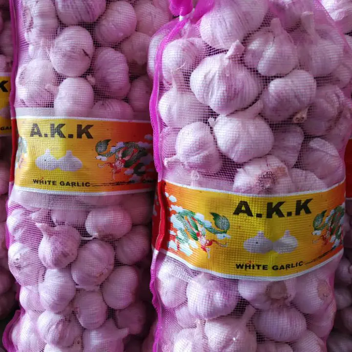 Hot sale size 5.0 up fresh garlic normal white