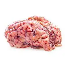 Высококачественная халяльная замороженная говядина | Свежий говяжий мозг