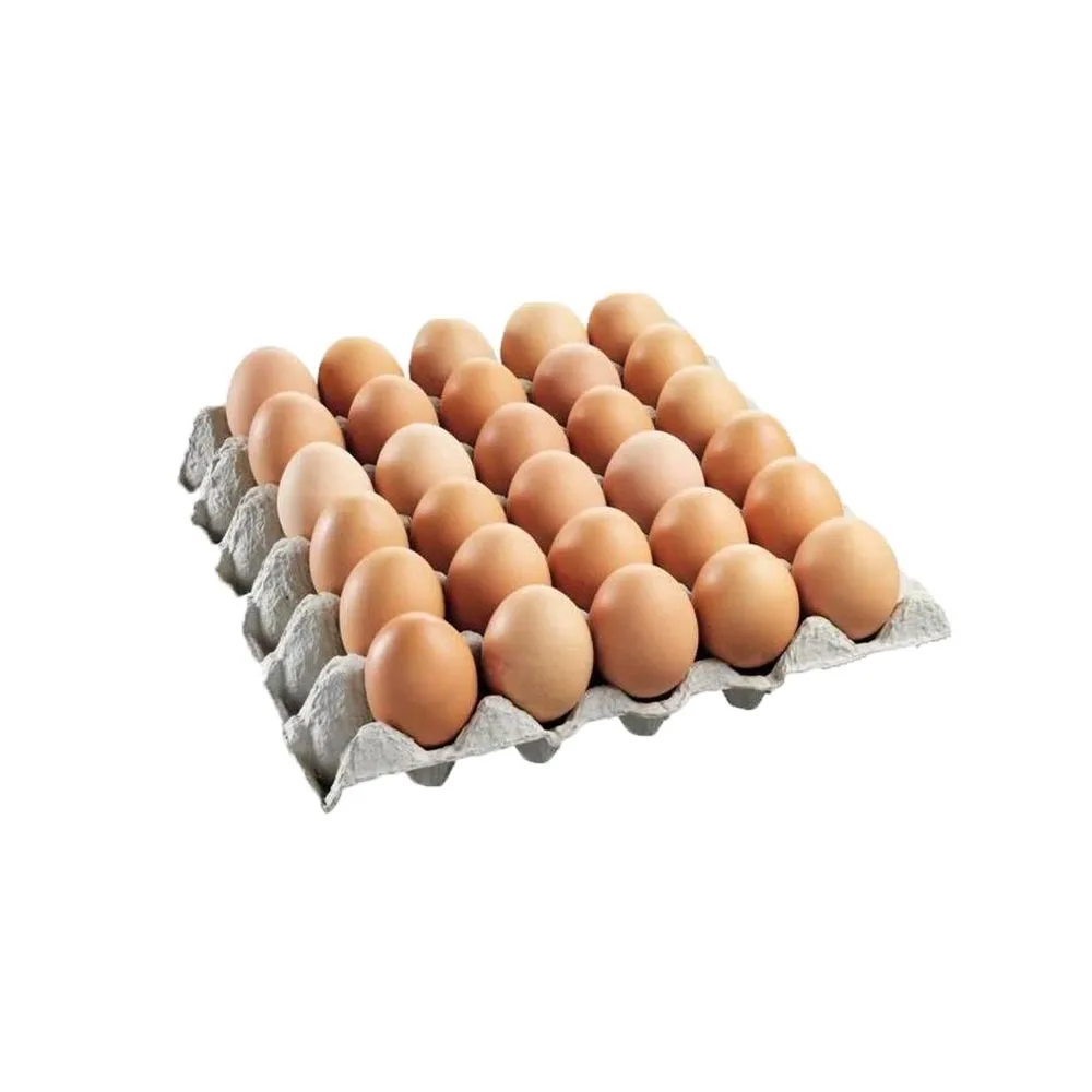 High Quality Fertile Hatching Chicken Egg/Fresh Chicken Table Eggs/Quail Eggs