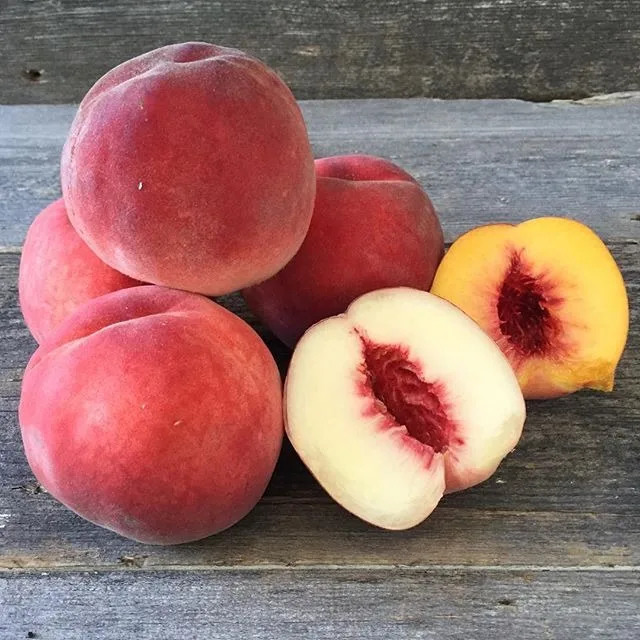 
 Свежие персики и нектарины для продажи  