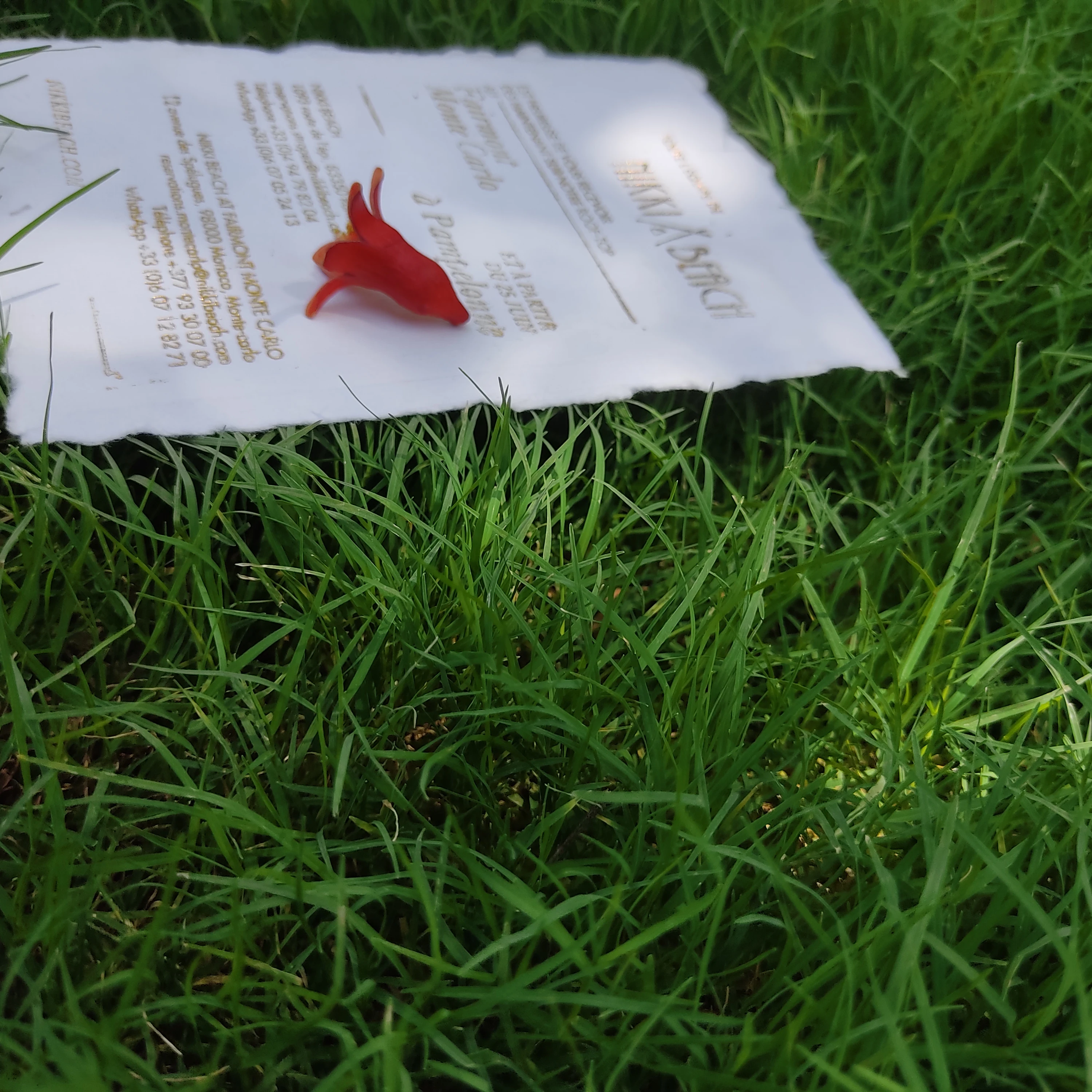 handmade deckle edge gold foil printed calligraphy paper for invitation wedding card making printed paper