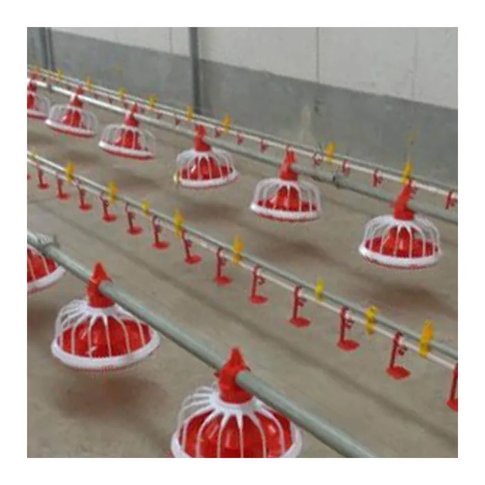 Poultry Automatic Feeder and Drinker China Poultry Farm Chicken Feeding Fully Automatic Feed System 1kg~40kg Provided Durable