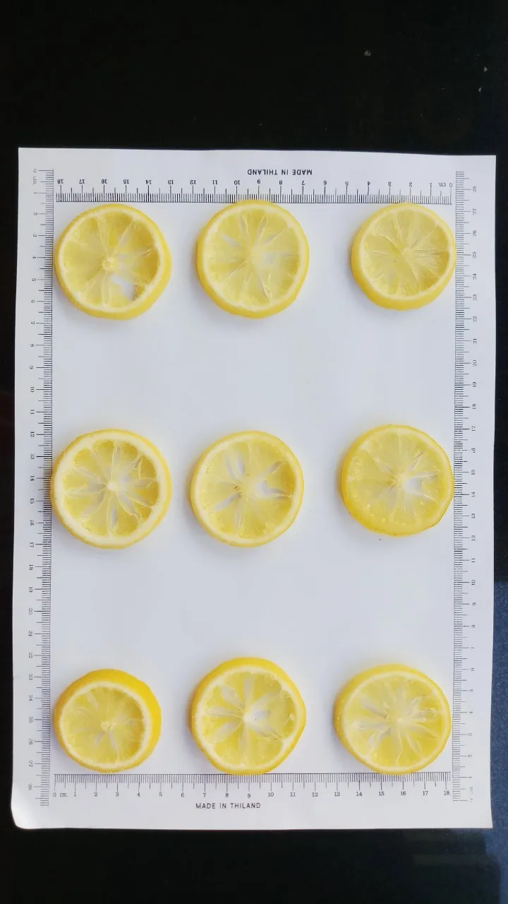 Dried LEMON Sweetened High Quality Best Product