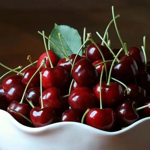Fresh Dark Red Cherries / Fresh Cherries Fruits For Sale
