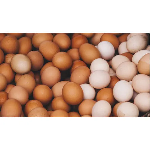 Hot Selling Fresh Brown/White Chicken Table Eggs for sale/Farm Fresh Chicken Table Eggs Brown and White Shell Chicken Eggs