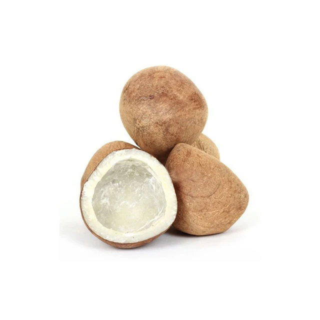 
Hiigh Quality Indonesia Edible Copra for Wholesale 