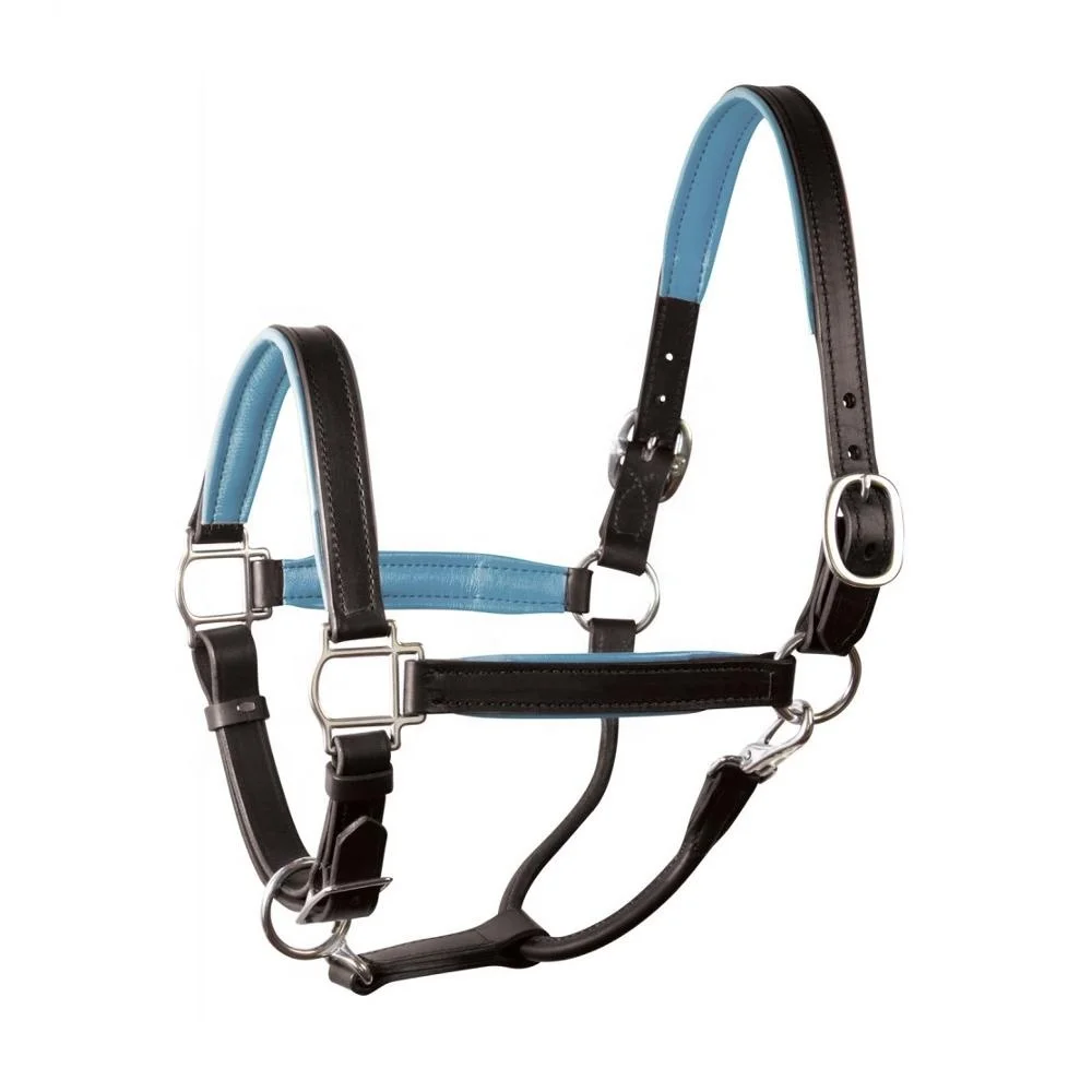 Genuine Black Braided Leather Horse Halter Suppliers