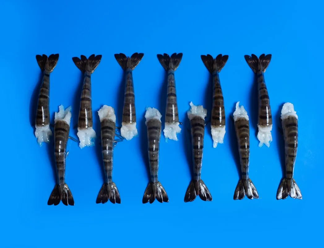 Вьетнамское производство поставка высококачественных вкусных необработанных/готовых HLSO (EZP) черных тигровых креветок-готов к отправке