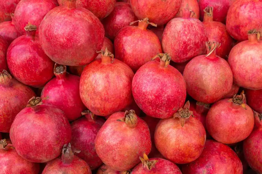 
Top Quality Fresh organic Pomegranates from Brazil 
