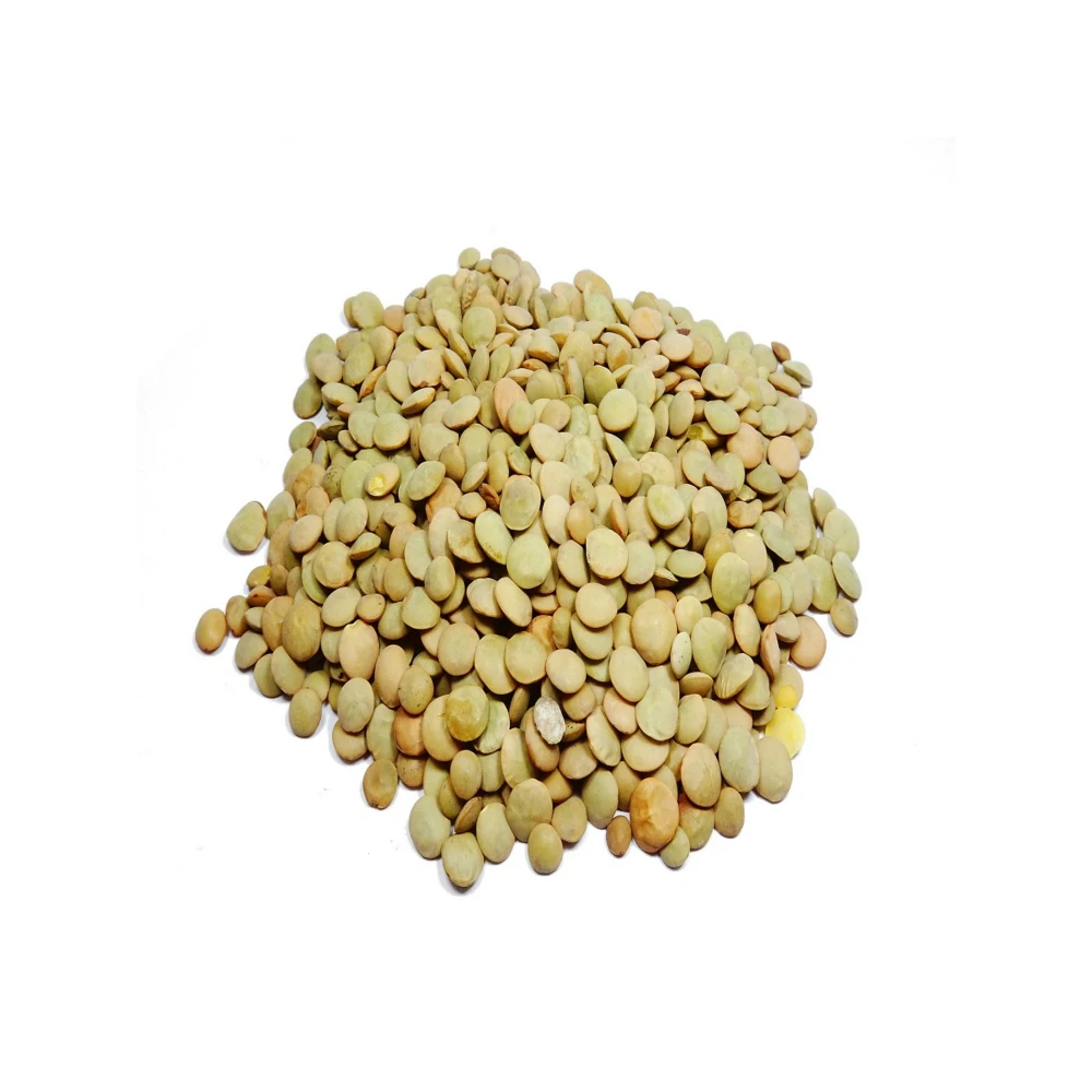 wholesale new crop good sale green lentil with best price export for food good taste