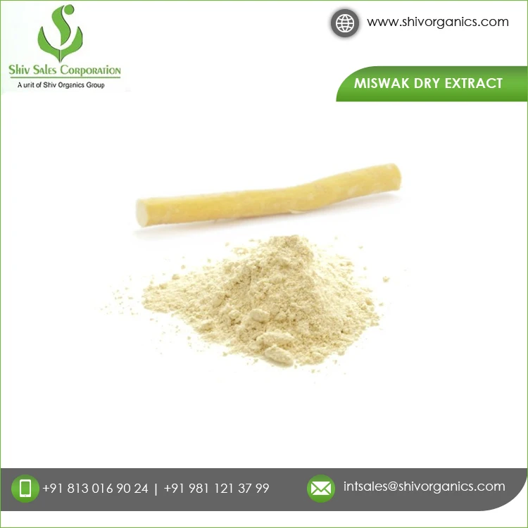 Experienced Bulk Supplier Selling Private Label Customized Logo Pure and Organic Miswak Dry Extract For Genuine Buyers
