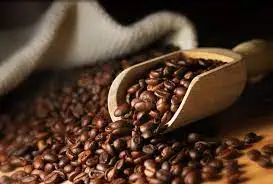 Высококачественный КОФЕ Robusta Средний жареный по лучшей цене Лидер продаж 2021 продукт 100% свежий Лучшая цена