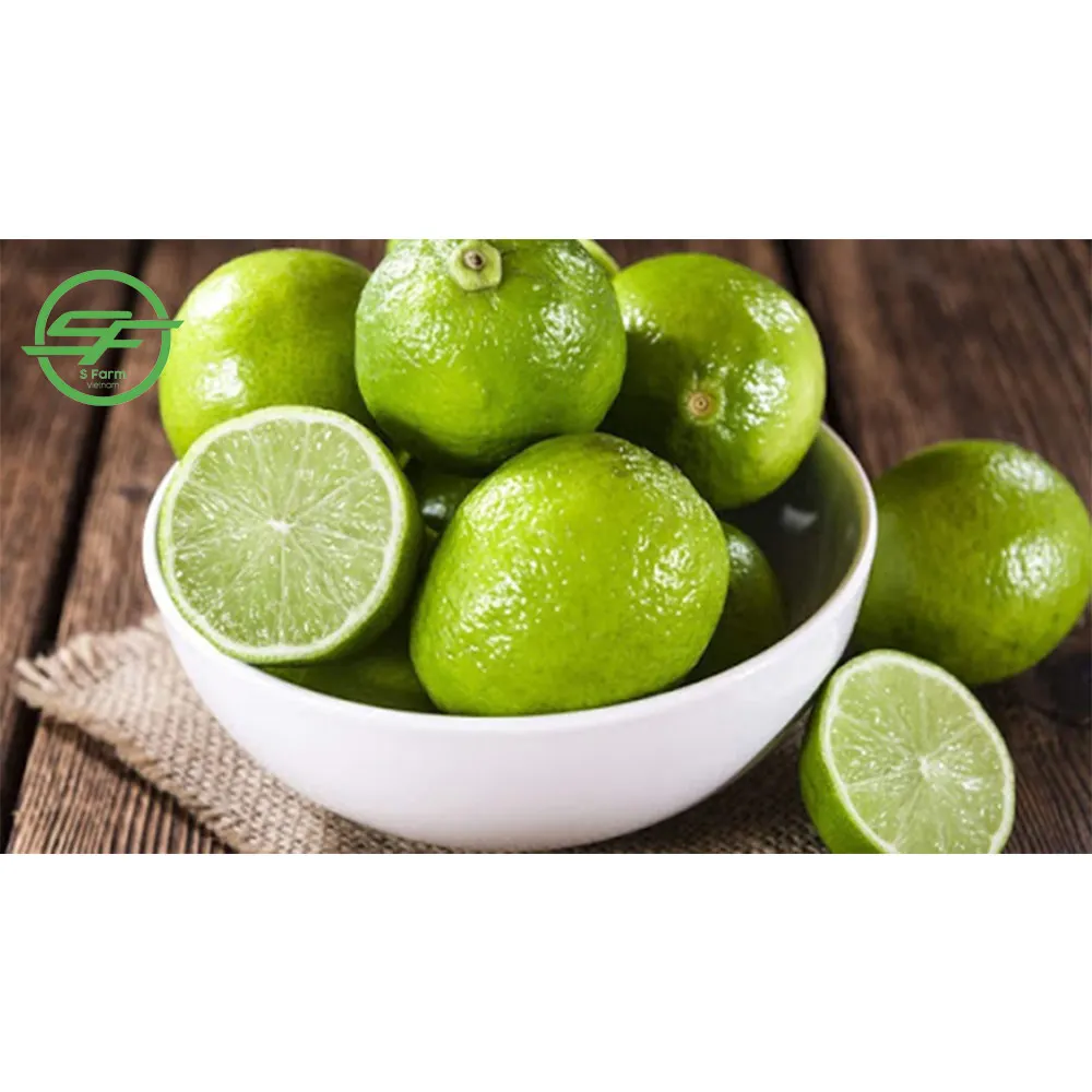 Vietnam Fresh Seedless Lemon (Whatsapp/zalo/wechat: +84 912 964 858)