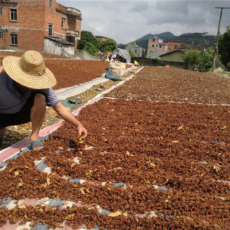 STAR ANISEED PREMIUM QUALITY For Sale NICE PRICES STAR ANISE IN SPICES/ COMPETITIVE QUOTATION FOR HERBS & SPECES