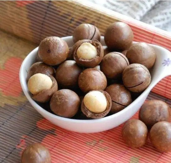 
Macadamia nuts / roasted macadamia / organic macadamia nuts 