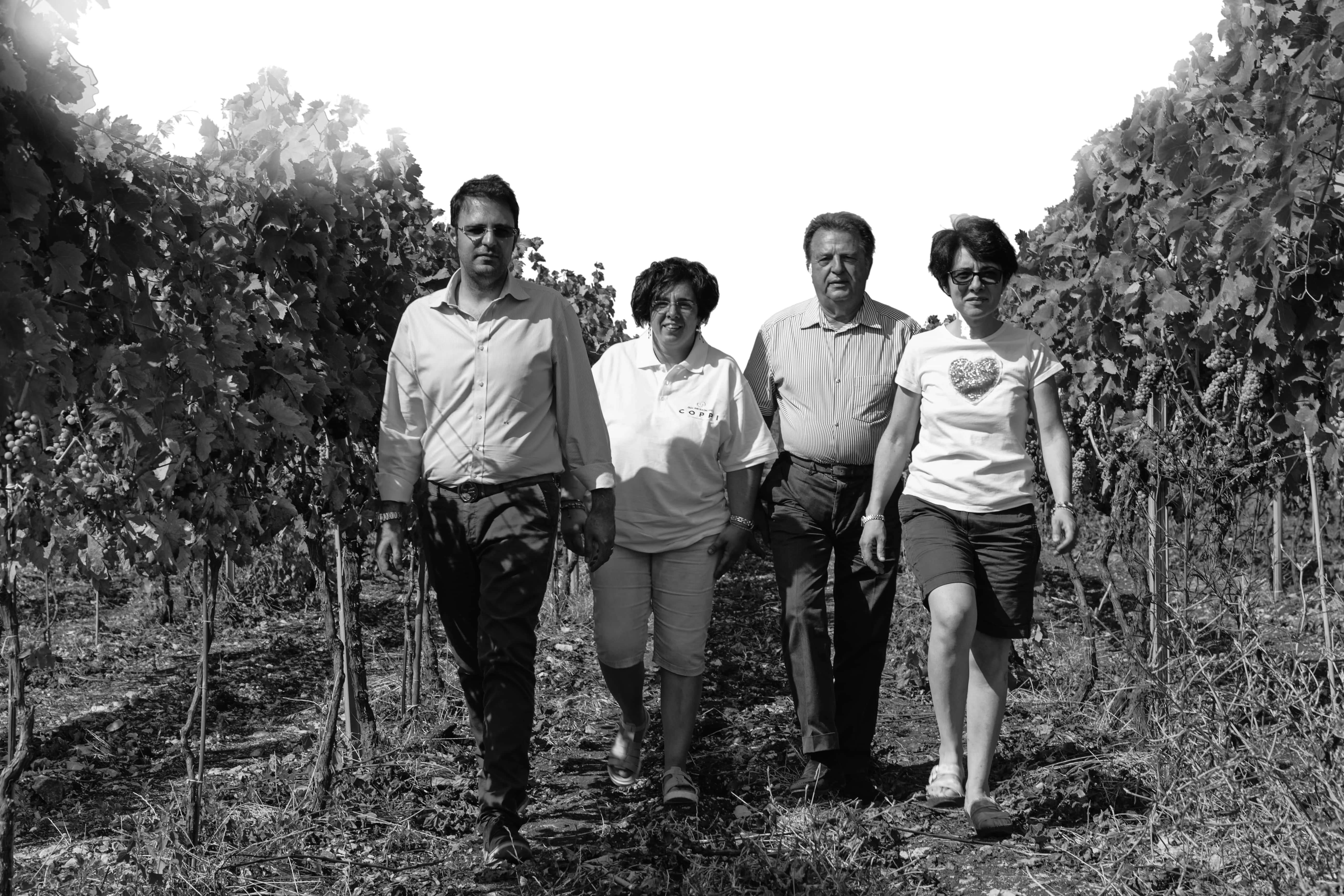 2021 Новое поступление винтажные 2013 НПГ итальянский питьевой красное вино сухого вина с 14% из alcoohol содержание