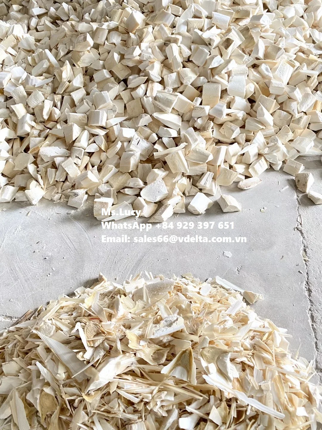 Wholesale Dried Cuttlefish Bone/ Natural Dried Sepia Powder/ Crushed Cuttlefish Bone Ms.Lucy +84 929 397 651