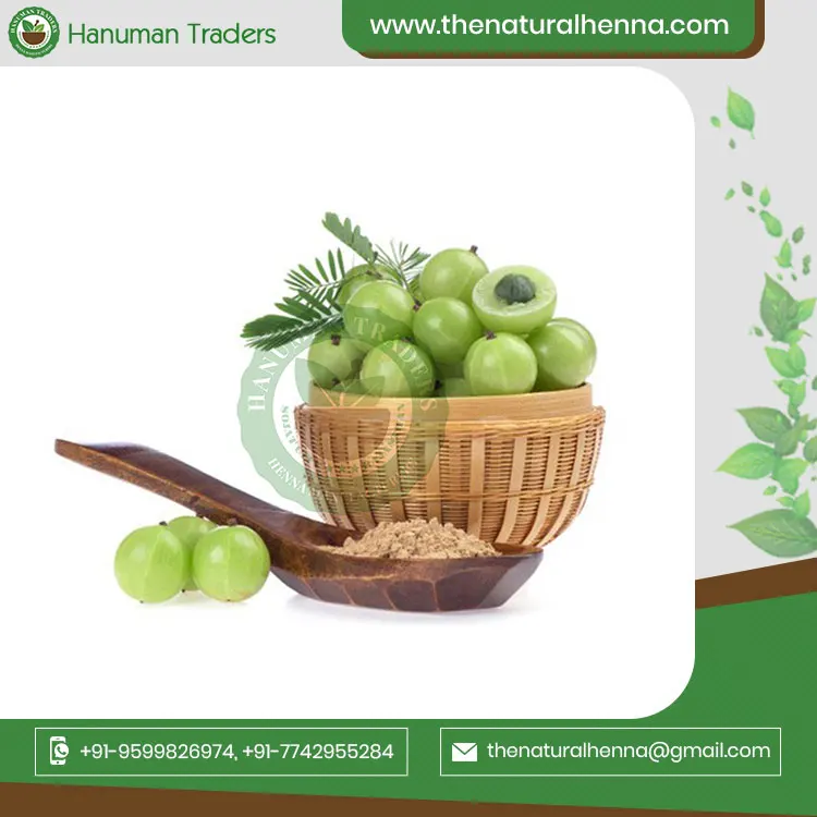Premium Quality Natural Organic Indian Gooseberry Amla Powder For Hair Top Quality Bulk Supplier From India