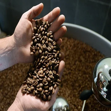 Прямая продажа с фабрики эфиопских зеленых кофейных зерен robusta