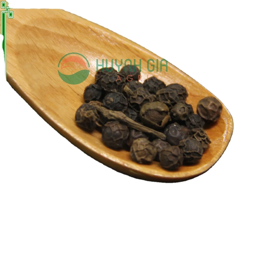 High Quality 50KG Vacuum Packed Vietnam Fresh Hand-Picked Black Pepper 550 GL/L From HUYNHGIA Manufacturer