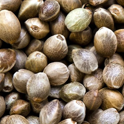  Бесплатный образец Оптовая поставка сертифицированные органические конопляные семена Hulled