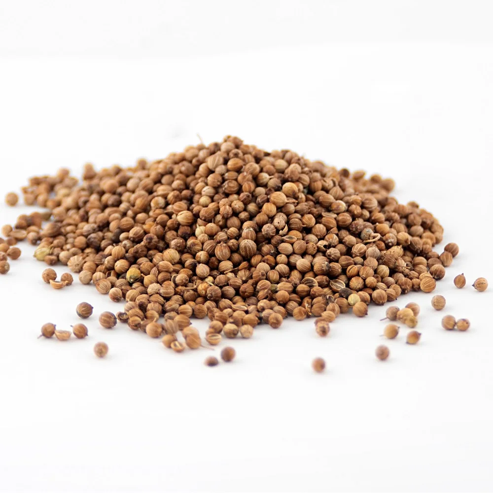 Оптовая продажа из России, семена кориандра высокой чистоты, одиночные специи Премиум-качества