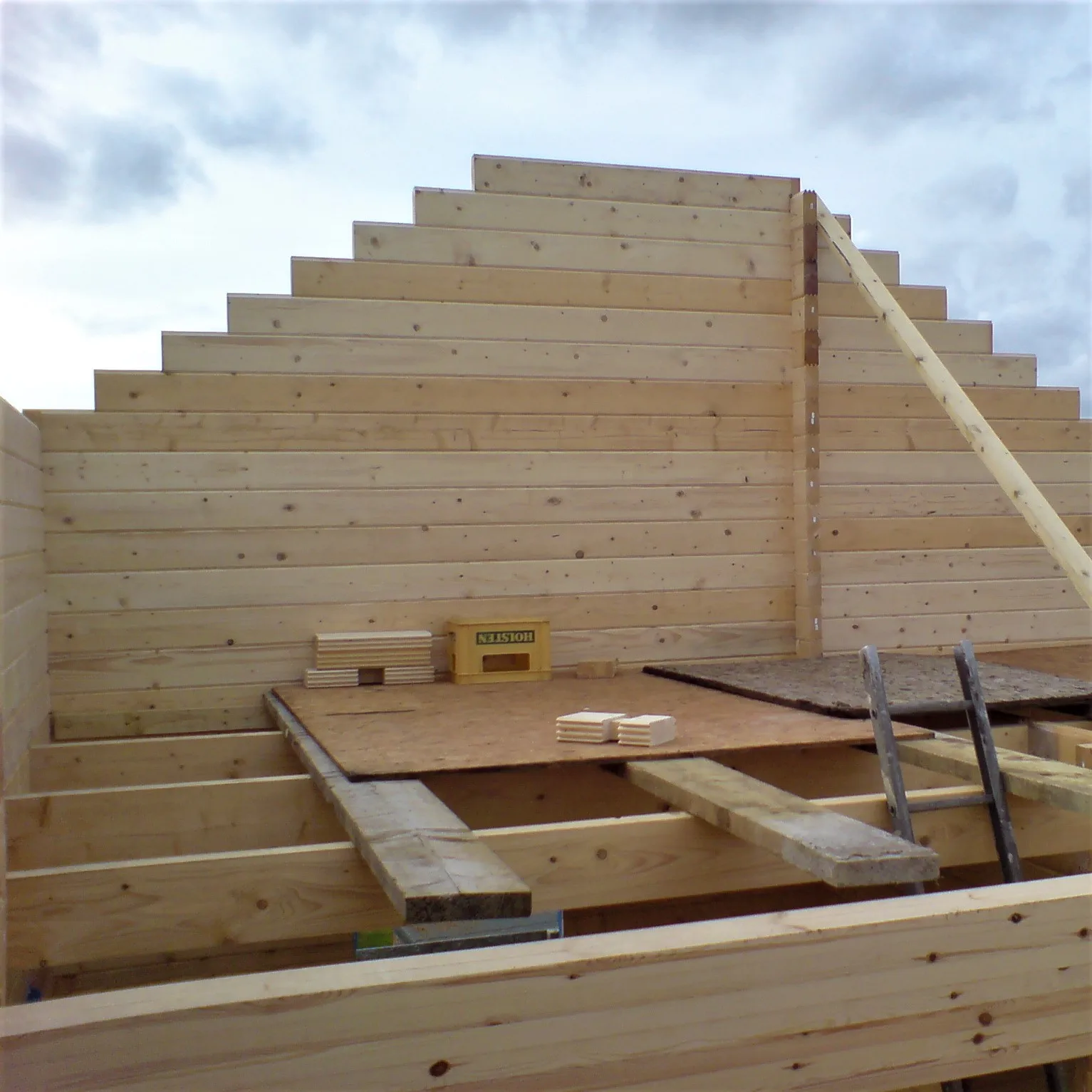 Lakelandlog desktop 1128 (2).jpg