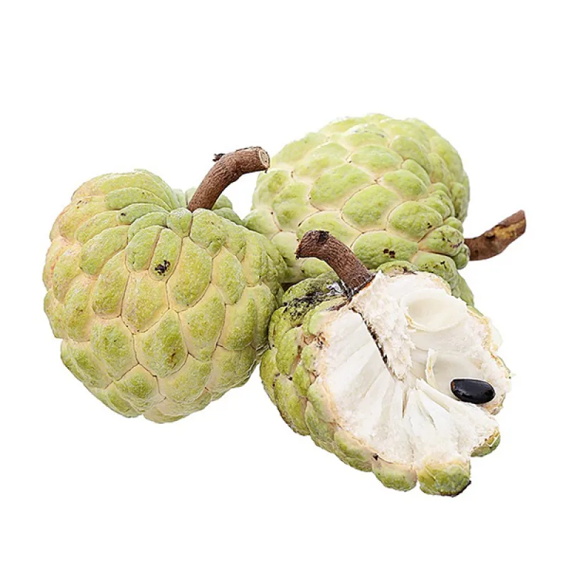 HOT DEAL !!!  Best Price  Fresh Custard Apple With High Quality From Viet Nam