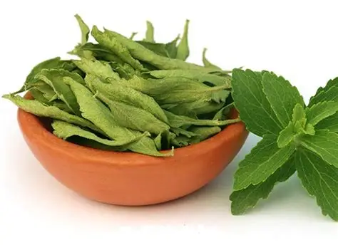 DRIED STEVIA REBAUDIANA - HERB FROM VIETNAM/ LOUIS T +84943481858