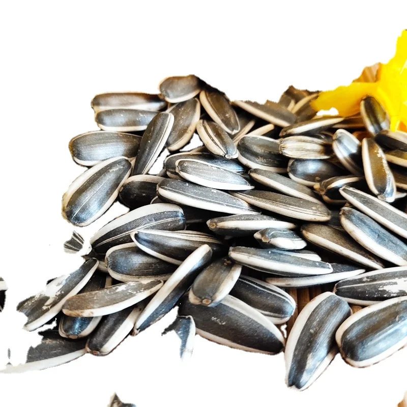 Top Quality Sunflower kernels/ Sunflower Kernel Seeds