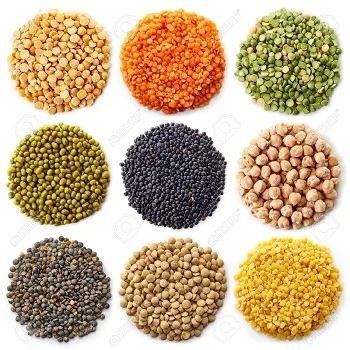 2021 Whole Red Lentils origin from Turkey (11000000613289)